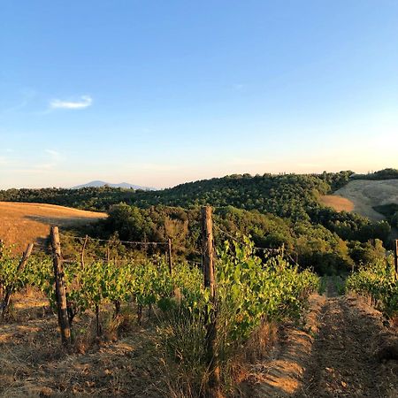 Podere Sole Trequanda Buitenkant foto