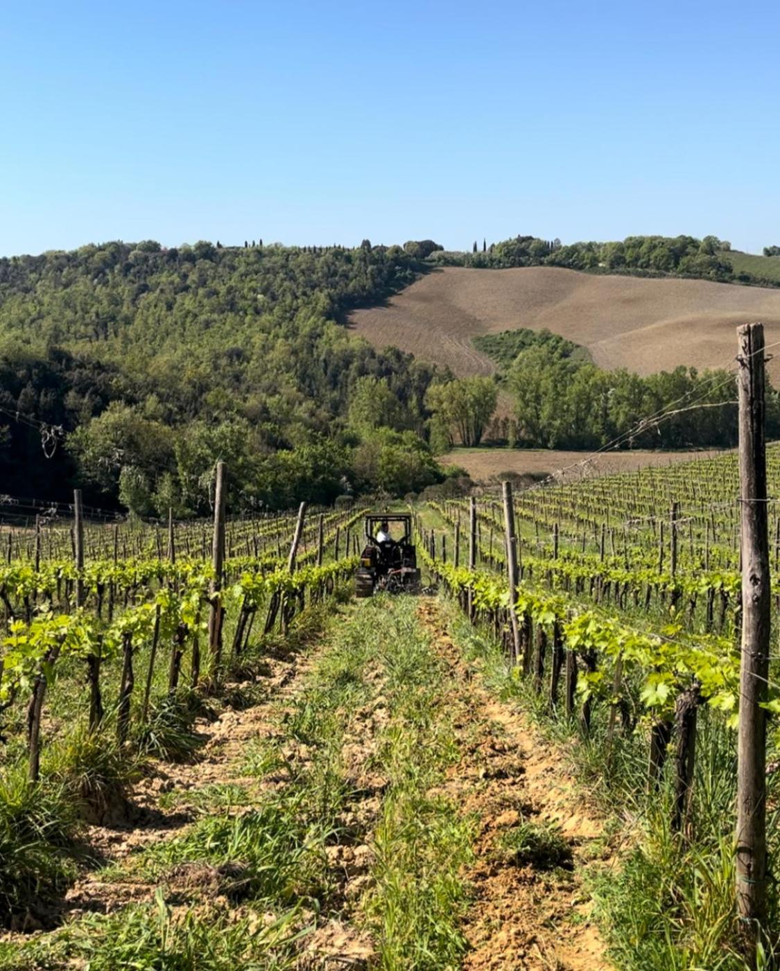 Podere Sole Trequanda Buitenkant foto