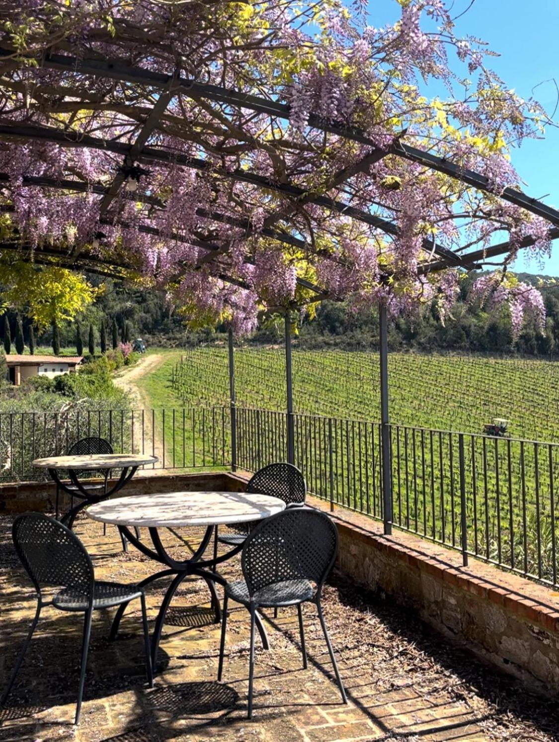 Podere Sole Trequanda Buitenkant foto