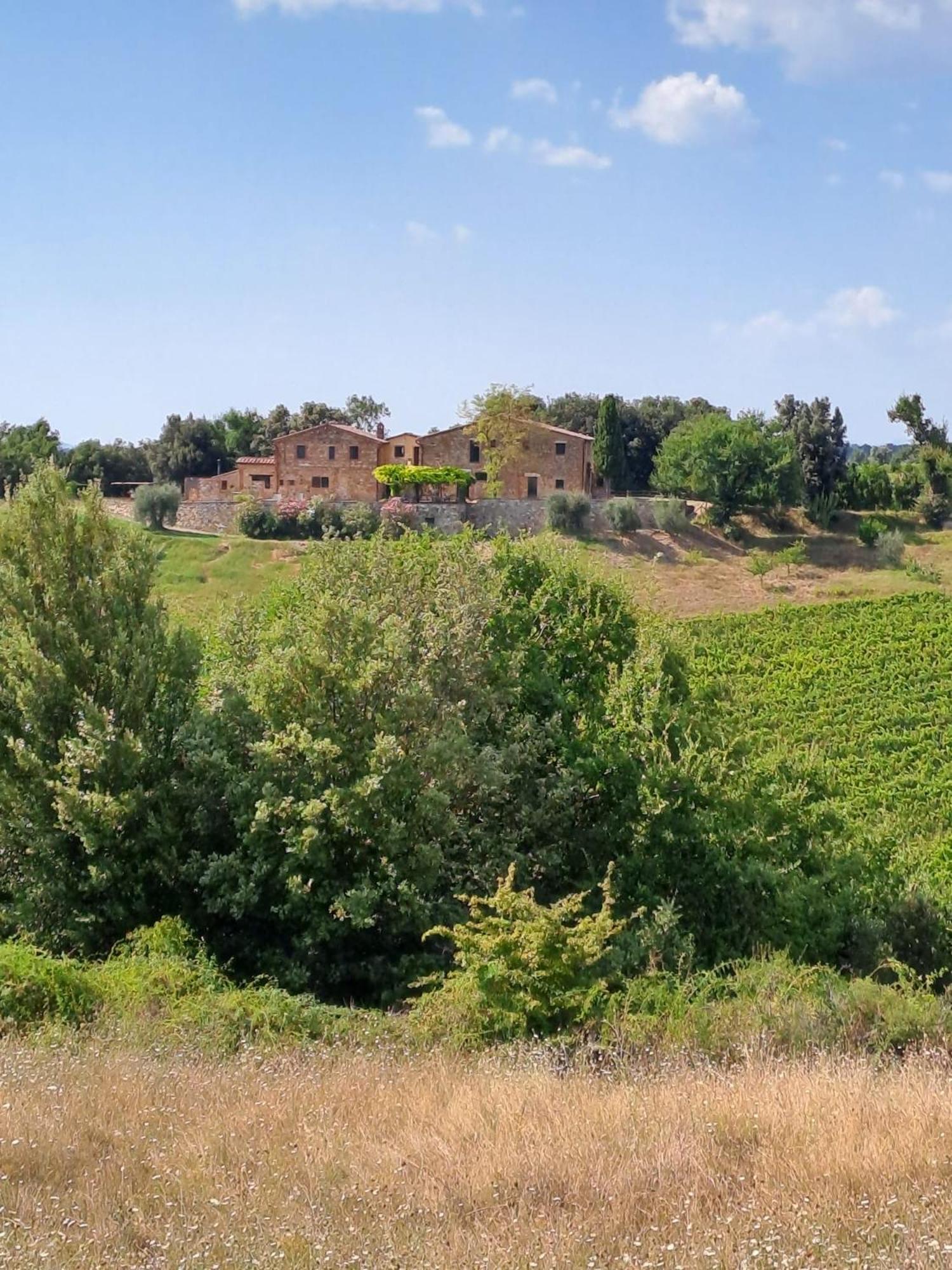Podere Sole Trequanda Buitenkant foto