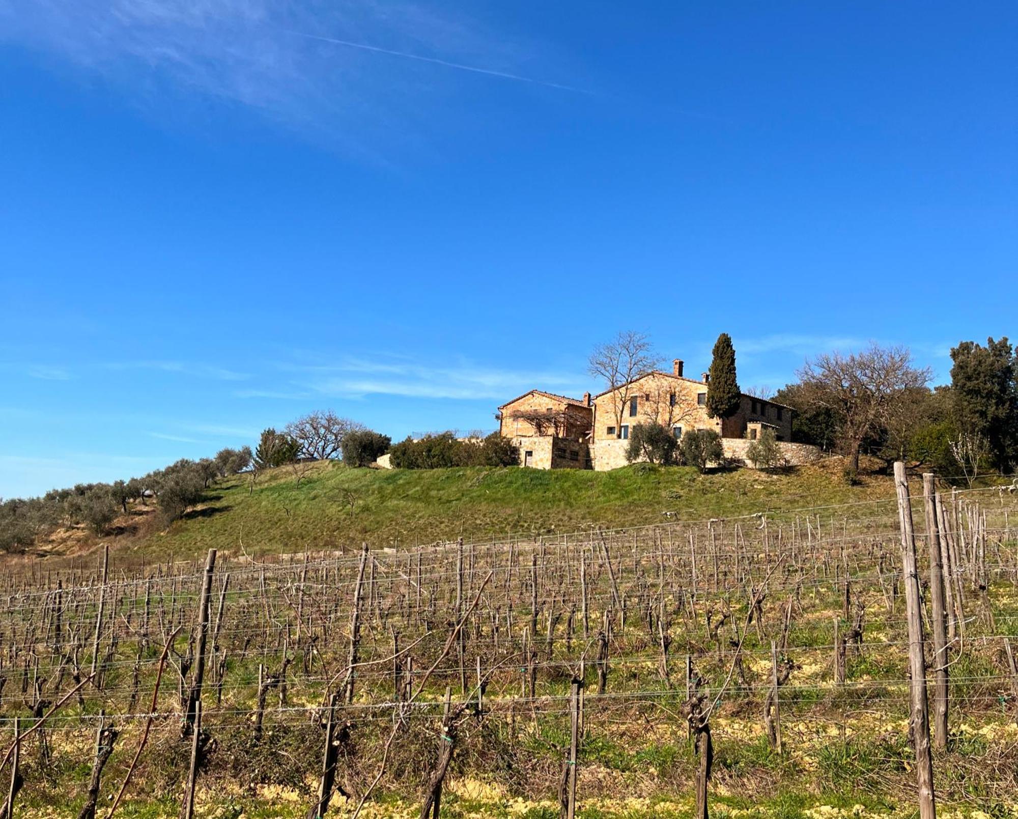 Podere Sole Trequanda Buitenkant foto