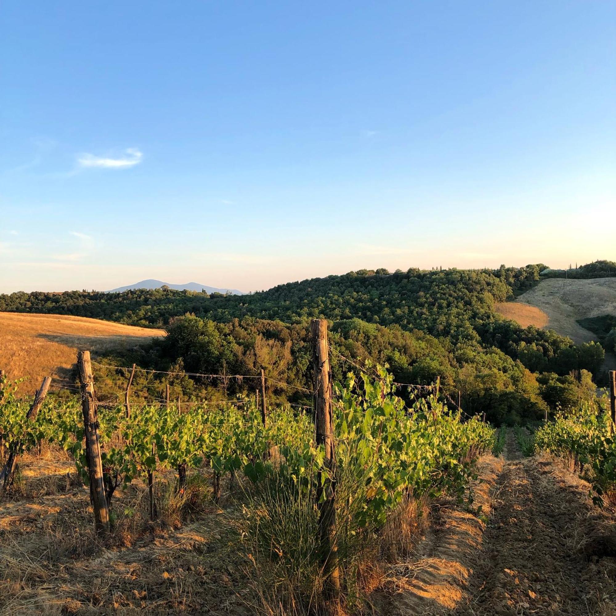 Podere Sole Trequanda Buitenkant foto